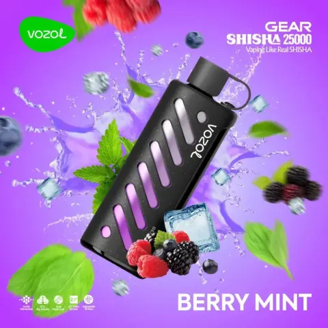 Vozol Gear 25000 Berry Mint