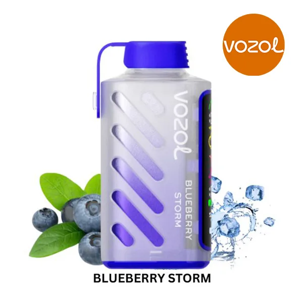 Vozol Gear Power 20000 Blueberry Storm