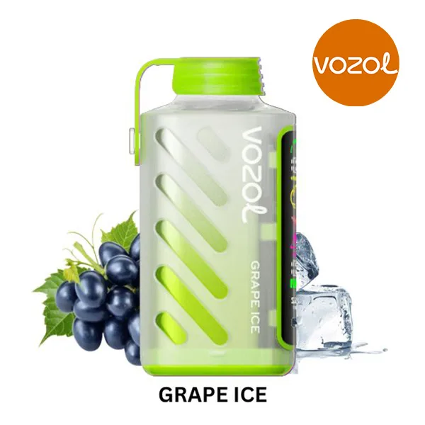 Vozol Gear Power 20000 Grape Ice