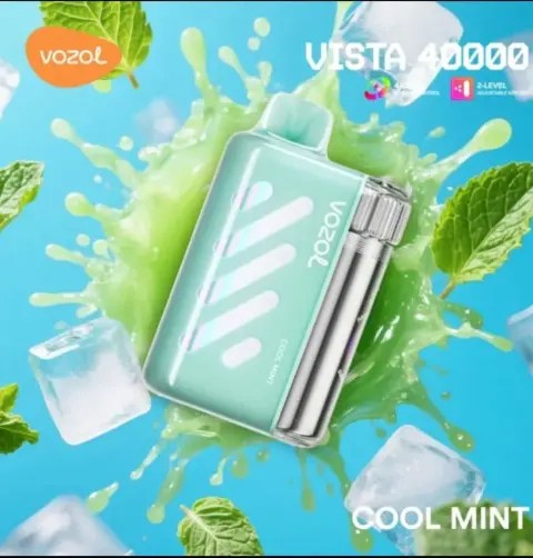 Vozol Vista 40000 Cool Mint